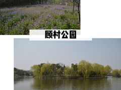 -自然谷恐龙园