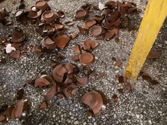 -巴人堂(女儿城店)