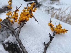 -叠溪松坪沟景区