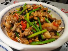 -壹盏灯(惠农店)