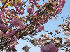 -梁鸿国家湿地公园