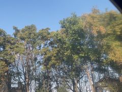 -江南雅厨(李公堤店)