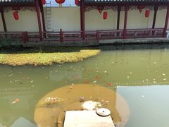 -龚家花园农家乐休闲别墅