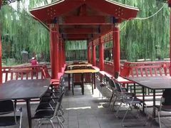 -尚庄度假村·庭台树下·户外烧烤·团建CS·轰趴营地(上庄水库店)
