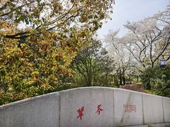 -白马涧龙池景区