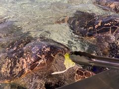 -福州罗源湾海洋世界旅游区
