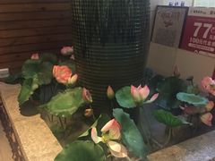 -润泽园椰子鸡(汇一城店)