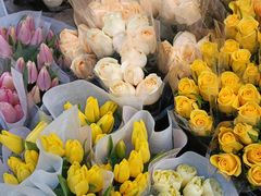 -循礼门鲜花花市(武汉循礼门店)