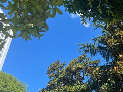 -重庆西南医院(西南院区)