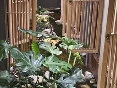 -邈墨茶馆(凤起路店)