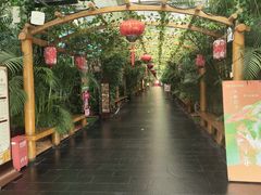 -东方华地城湿地温泉度假区