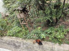 -昆明动物园