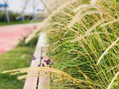 -幕燕滨江·长江观音景区