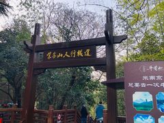 -紫金山山顶公园