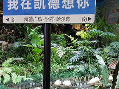 -凯德广场(学府店)