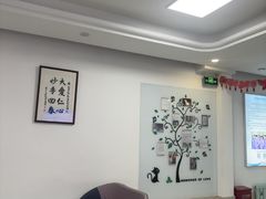 -北京观赏动物医院·24小时大型综合·猫专科·异宠专科