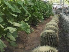 -上海多利农业发展有限公司