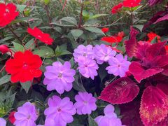 -庐山风景区花径公园