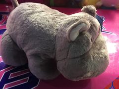 -大玩家(哈尔滨悦荟店)