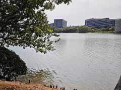 -松山湖风景区松湖烟雨