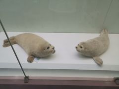 -国家自然博物馆