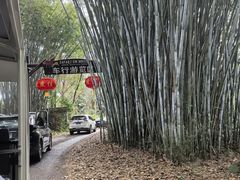 -海南热带野生动植物园