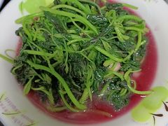 -红蕾家政·保姆·育儿嫂·钟点工
