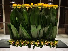 -上海宝华万豪酒店