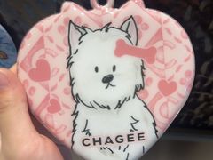 -霸王茶姬(上海浦东机场店)