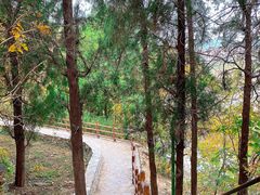 -龙洞风景区-藏龙涧