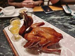 -大鸽饭(北京路店)
