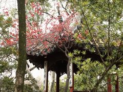 -秋霞圃