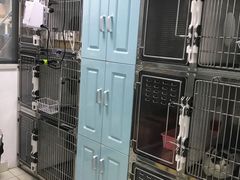-莘程宠物医院(金山店)
