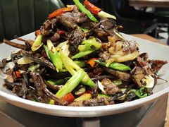 -俭寨大盘鸡·新疆菜·烧烤(博乐店)