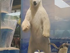 -国家自然博物馆