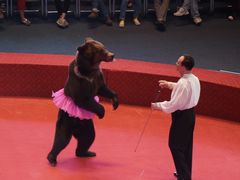 -俄罗斯国家大马戏团