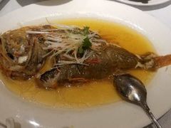 -席家花园(巨鹿花园店)