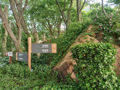 -青岛海滨风景区小鱼山