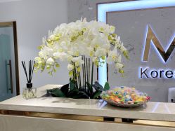 -MIVI野生眉纹绣纹眉