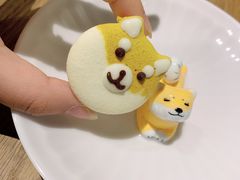 -柴务处·柴犬主题狗咖