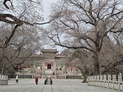 -北陵公园