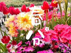 -中山公园