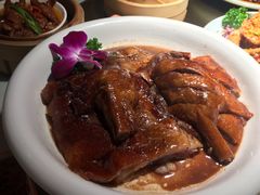 -南枝记