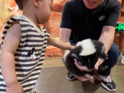 -Zoolung Zoolung动物主题公园(海信广场店)