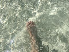 -白沙滩