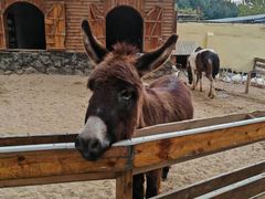 -HERRE·FARM 赫尔露营农场·团建聚会包场