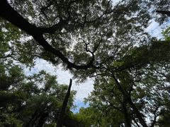 -南浔古镇