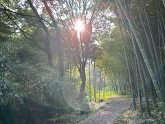 -采石矶景区