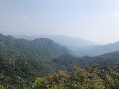 -大岭沟猕猴桃谷风景区