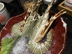-daozao料理美术馆(东营店)